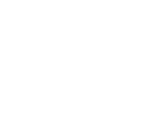 年間活動スケジュール