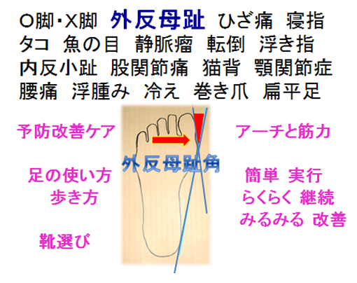 ヨネックス オフィシャルアドバイザー Ok和男のボディデザインウォーキング ヨネックスウォーキングシューズ Yonex Walking Shoes